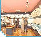 いの町紙の博物館の写真