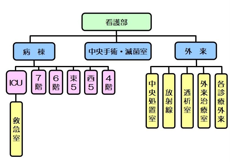 看護部組織図