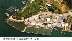 高知県水産試験場