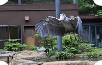 県立のいち動物公園の写真