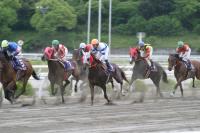 高知競馬で疾走する競走馬