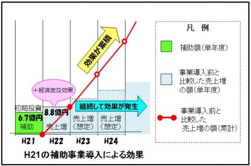 補助事業の効果