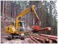 間伐材の生産