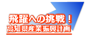 飛躍への挑戦！高知県産業振興計画