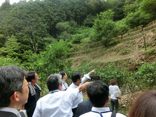 CIMG1180_下久保地区