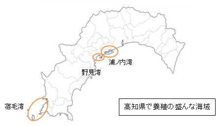 高知県の養殖海域