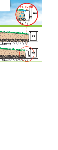 フィールディックス