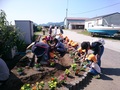 6月保育園との花植