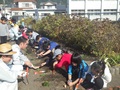 11月小学生との花植