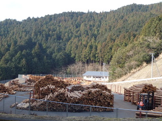 繁藤土場(下側）