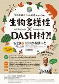 01生物多様性×DASH村チラシ最終