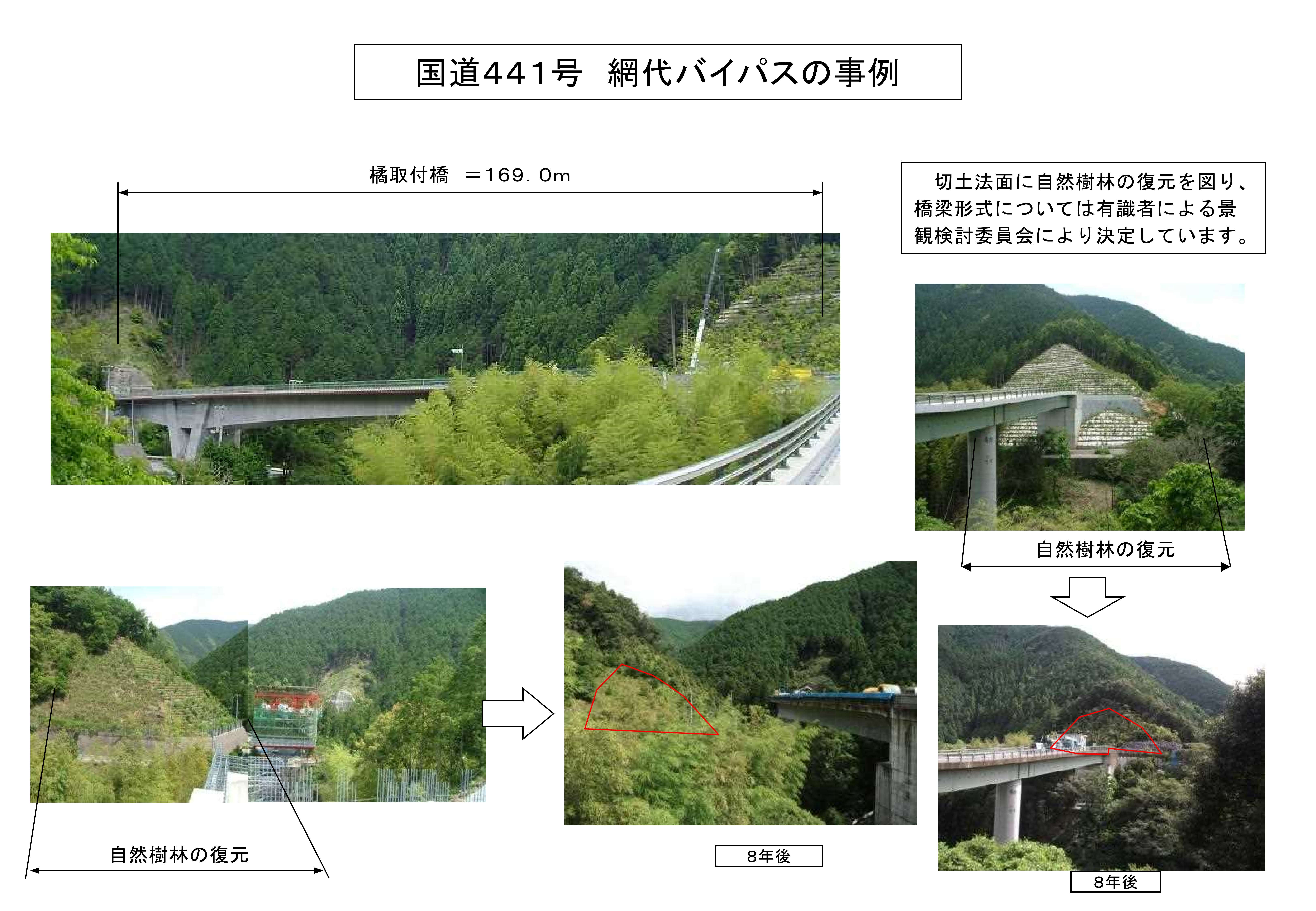 国道４４１号　網代バイパスの事例