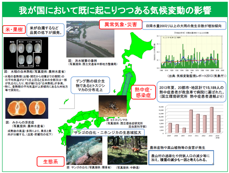 我が国において既に起こりつつある気候変動の影響