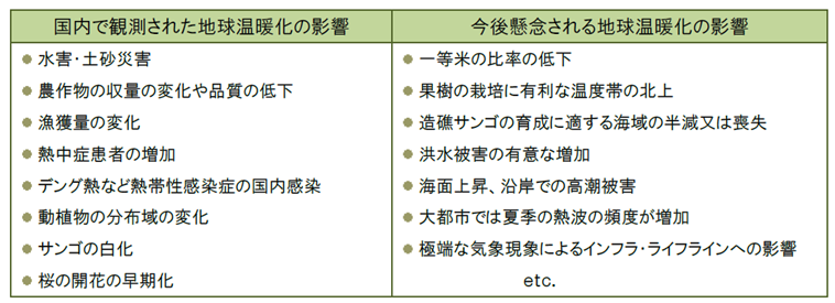 地球温暖化の影響