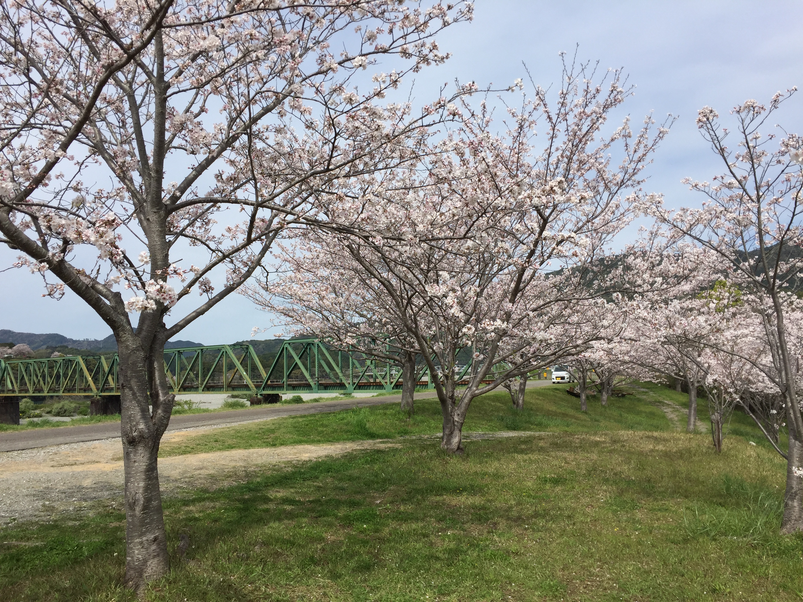 02仁淀川地域本部（いの町）