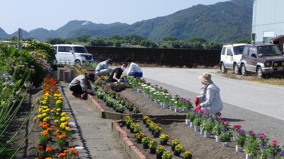 花植の様子