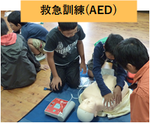 AED