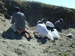 化石採集体験教室３