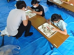 化石採集体験教室４