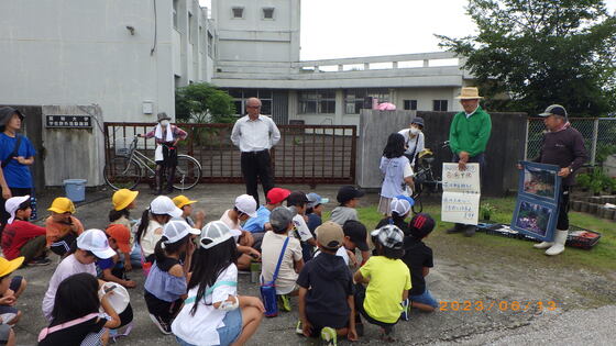 小学生挨拶
