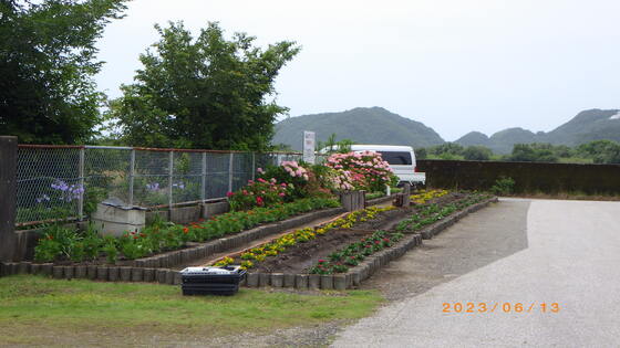 花植え後の様子