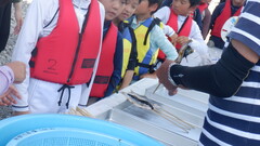 DSCF4402