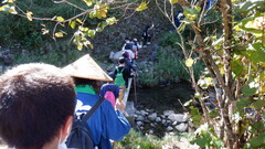 DSCF5235