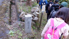 DSCF5204