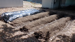 R6どきどき探検隊