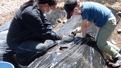 R6どきどき探検隊