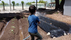 R6どきどき探検隊