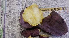 R6どきどき探検隊