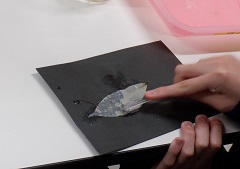 R6どきどき探検隊