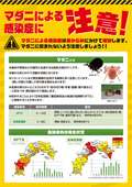 マダニチラシ表