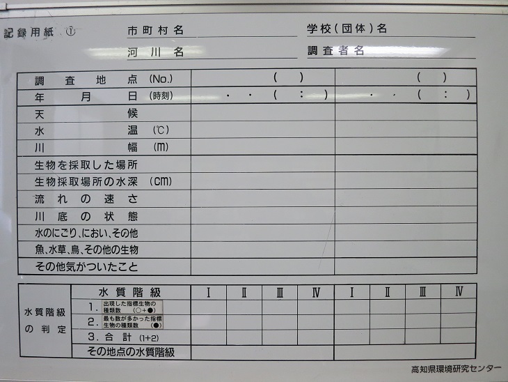 記録用紙１