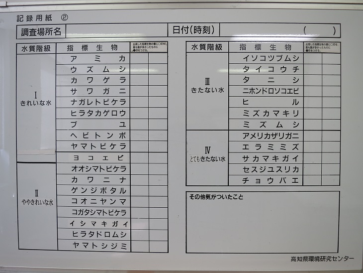 記録用紙２