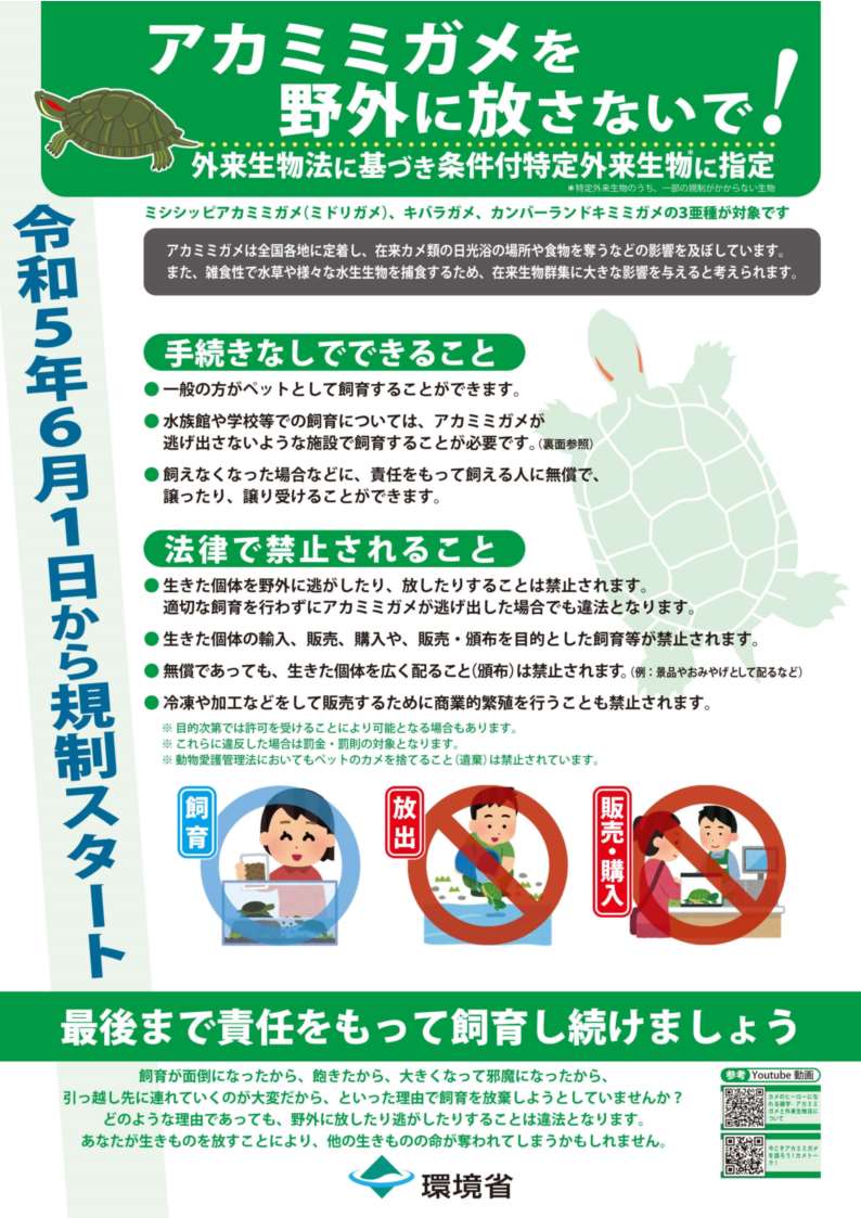 アカミミガメ規制