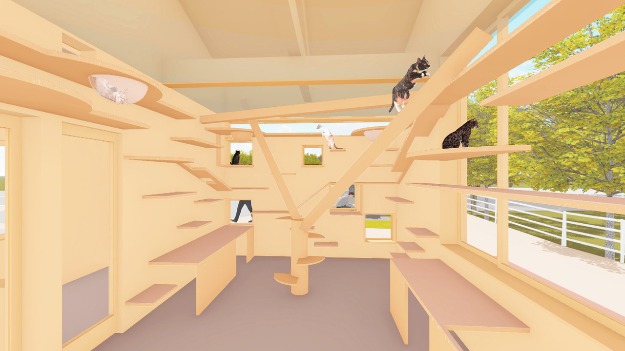 猫マッチングルーム