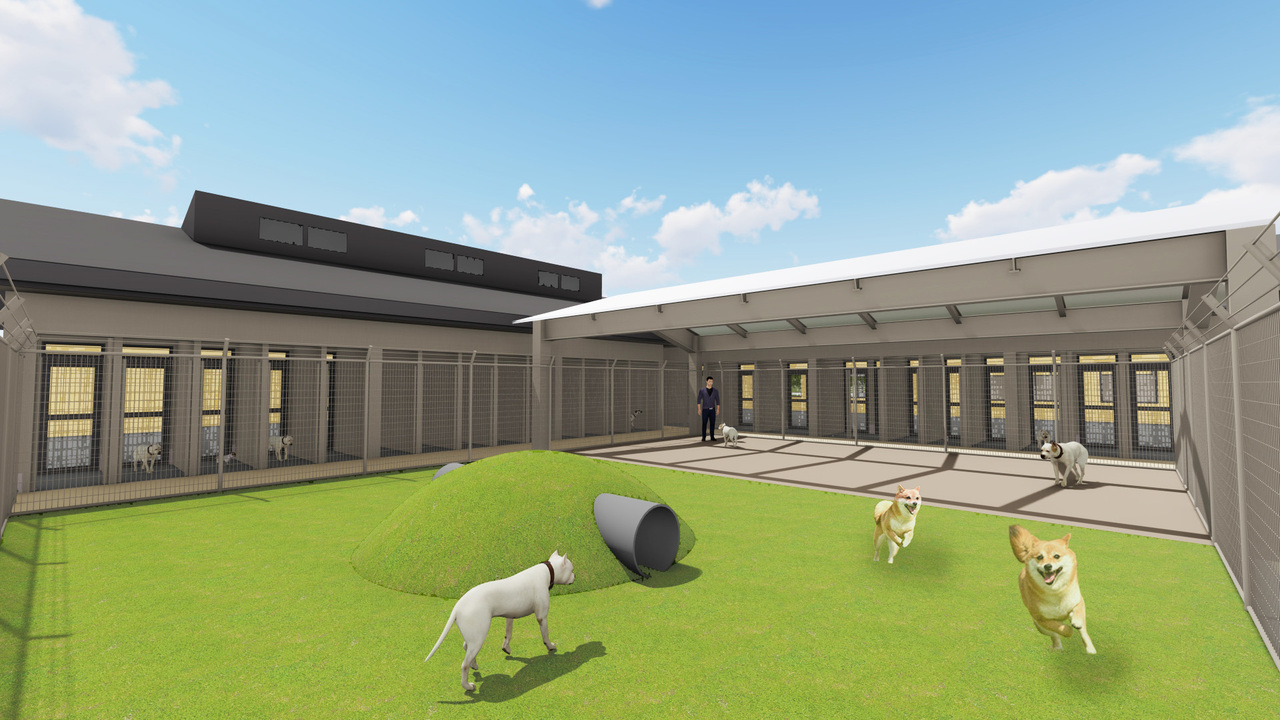 犬運動場