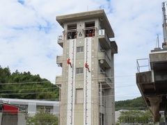 初任12