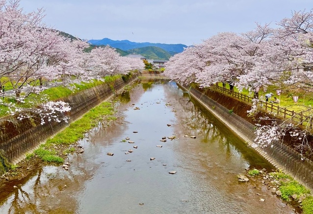 佐川町写真