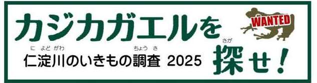 【2024】カジカガエルを探せ！_1