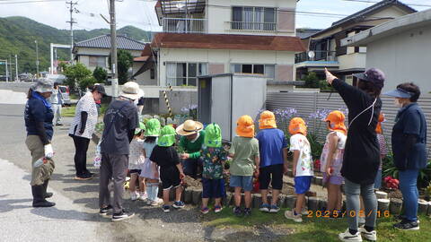 園児へ花植説明