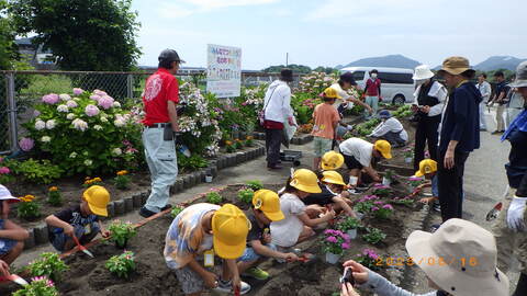 小学生花植②