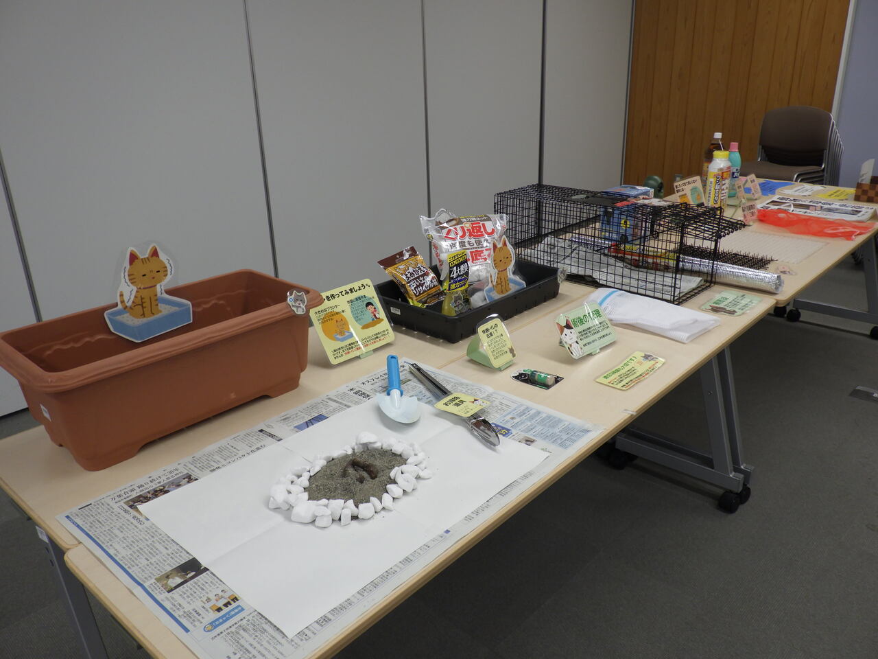 参考展示