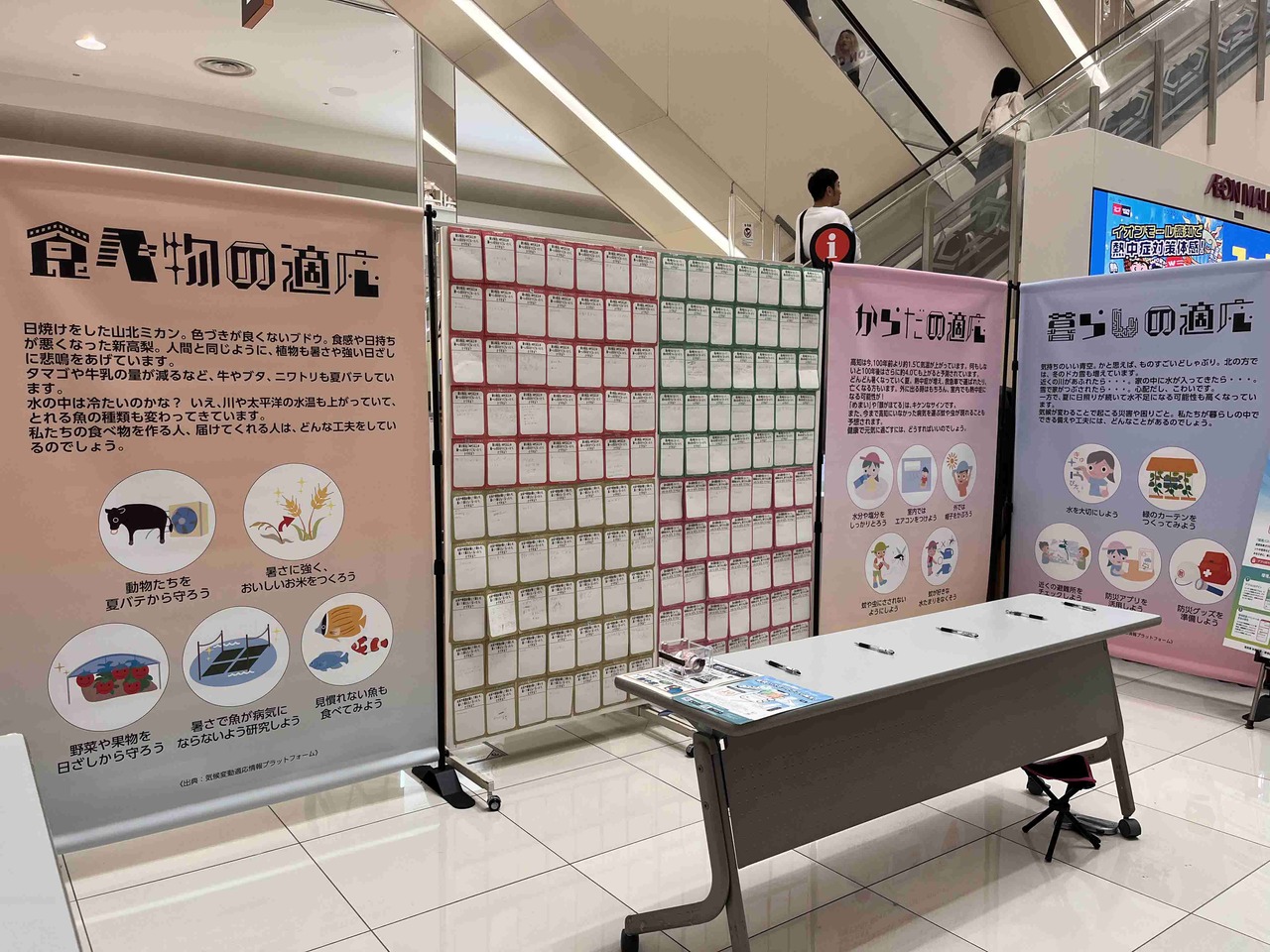 ブース展示