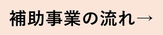 補助事業の流れ