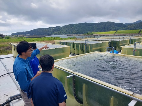 加用物産陸上養殖場