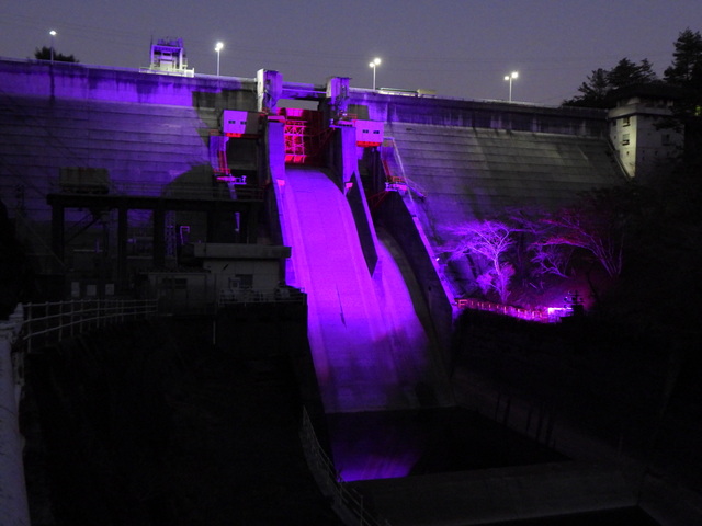 過去のライトアップの様子