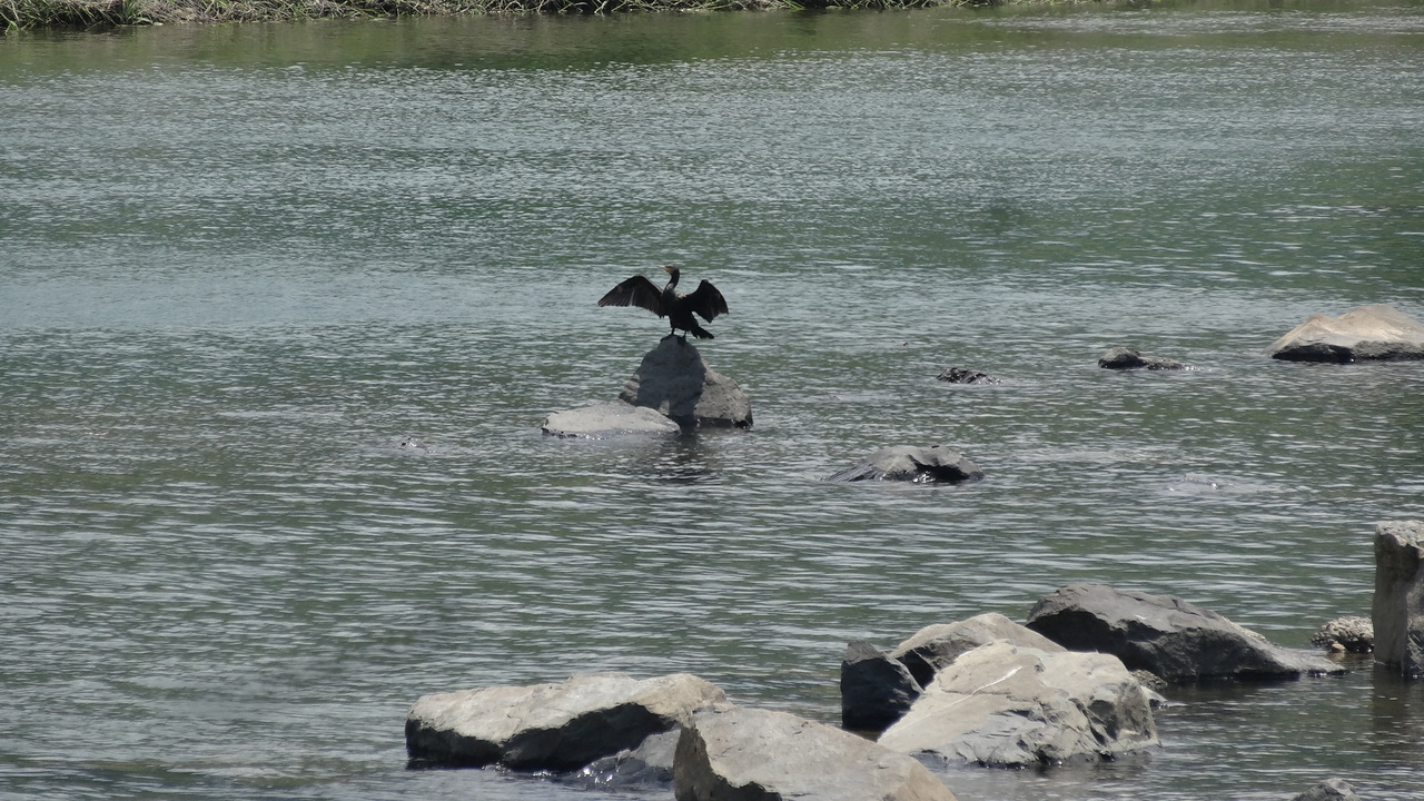 サムネイル写真